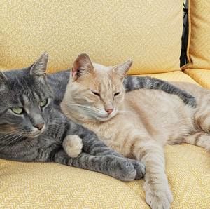 Meet your Posher, Deb